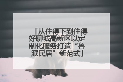 从住得下到住得好聊城高新区以定制化服务打造“鲁派民居”新范式