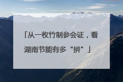 从一枚竹制参会证，看湖南节能有多“拼”