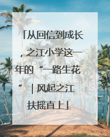 从回信到成长，之江小学这一年的“一路生花”｜风起之江 扶摇直上