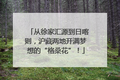从徐家汇源到日喀则，沪藏两地开满梦想的“格桑花”！