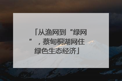 从渔网到“绿网”，蔡甸桐湖网住绿色生态经济