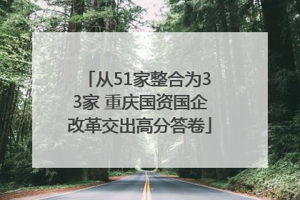 从51家整合为33家 重庆国资国企改革交出高分答卷