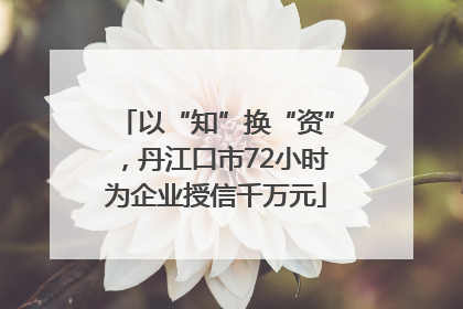 以“知”换“资”，丹江口市72小时为企业授信千万元