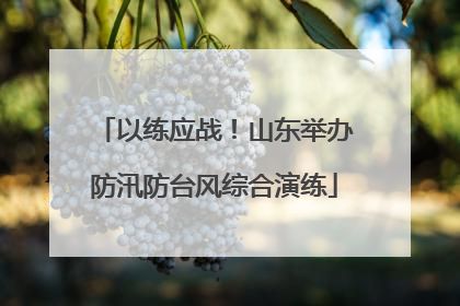 以练应战！山东举办防汛防台风综合演练