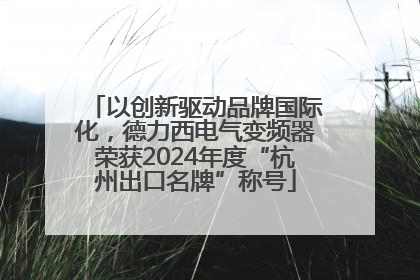 以创新驱动品牌国际化，德力西电气变频器荣获2024年度“杭州出口名牌”称号
