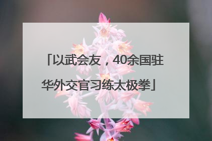 以武会友，40余国驻华外交官习练太极拳