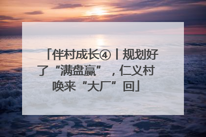 伴村成长④丨规划好了“满盘赢”，仁义村唤来“大厂”回