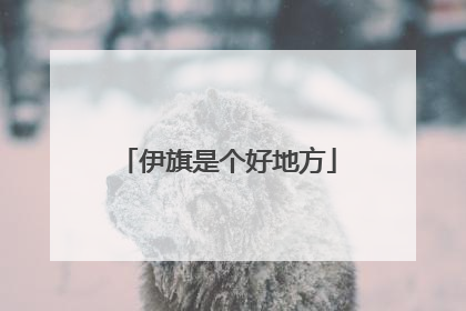 伊旗是个好地方