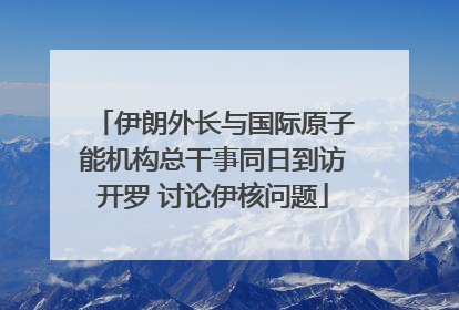 伊朗外长与国际原子能机构总干事同日到访开罗 讨论伊核问题