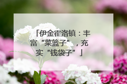 伊金霍洛镇：丰富“菜篮子”，充实“钱袋子”