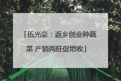 伍光豪：返乡创业种蔬菜 产销两旺促增收