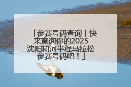 参赛号码查询丨快来查询你的2025沈阳和河半程马拉松参赛号码吧！