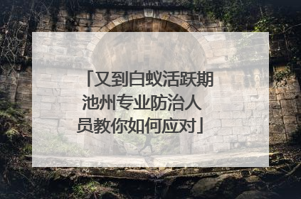 又到白蚁活跃期 池州专业防治人员教你如何应对