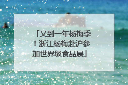 又到一年杨梅季！浙江杨梅赴沪参加世界级食品展