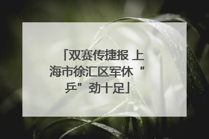 双赛传捷报 上海市徐汇区军休“乒”劲十足