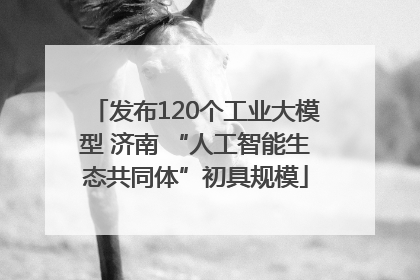 发布120个工业大模型 济南 “人工智能生态共同体”初具规模