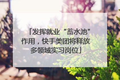 发挥就业“蓄水池”作用，快手美团将释放多领域实习岗位