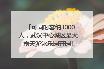 可同时容纳3000人，武汉中心城区最大露天游泳乐园开园