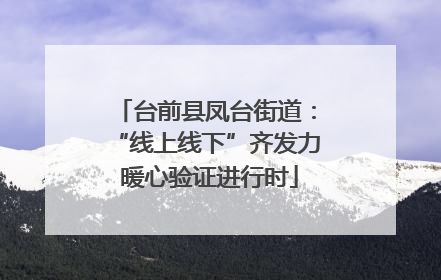 台前县凤台街道：“线上线下”齐发力 暖心验证进行时