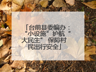 台前县委编办：“小设施”护航“大民生” 保障村民出行安全