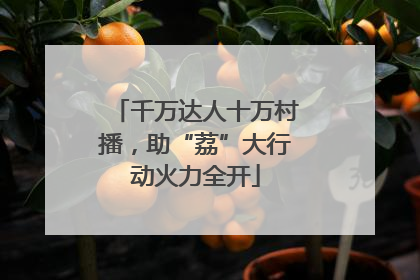 千万达人十万村播，助“荔”大行动火力全开