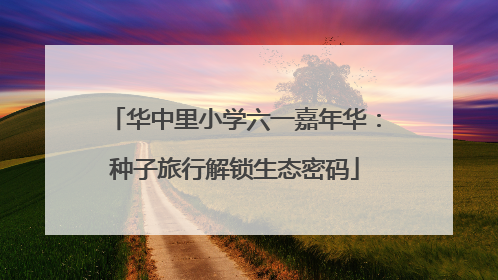 华中里小学六一嘉年华：种子旅行解锁生态密码