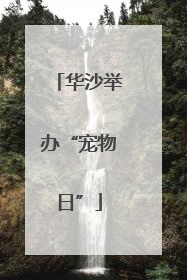 华沙举办“宠物日”