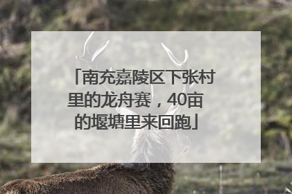 南充嘉陵区下张村里的龙舟赛，40亩的堰塘里来回跑