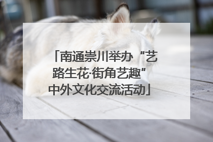 南通崇川举办“艺路生花·街角艺趣”中外文化交流活动