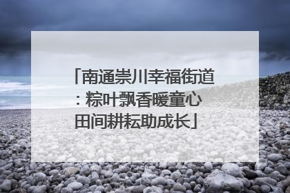 南通崇川幸福街道：粽叶飘香暖童心 田间耕耘助成长