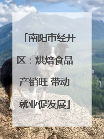 南阳市经开区：烘焙食品产销旺 带动就业促发展