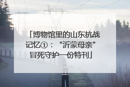 博物馆里的山东抗战记忆①：“沂蒙母亲”冒死守护一份特刊