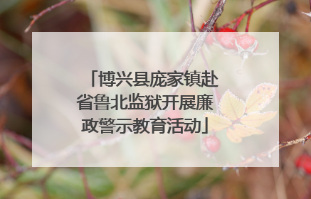 博兴县庞家镇赴省鲁北监狱开展廉政警示教育活动