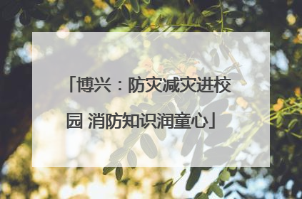 博兴：防灾减灾进校园 消防知识润童心