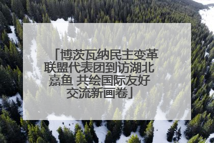 博茨瓦纳民主变革联盟代表团到访湖北嘉鱼 共绘国际友好交流新画卷