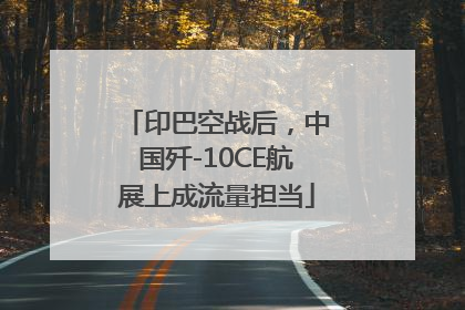 印巴空战后，中国歼-10CE航展上成流量担当
