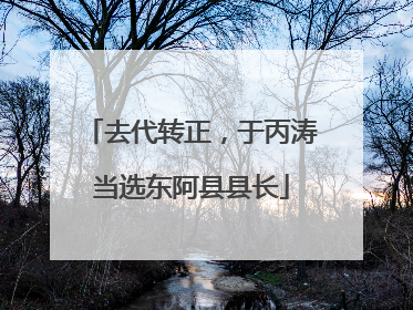 去代转正，于丙涛当选东阿县县长