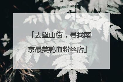 去望山街，寻找南京最美鸭血粉丝店