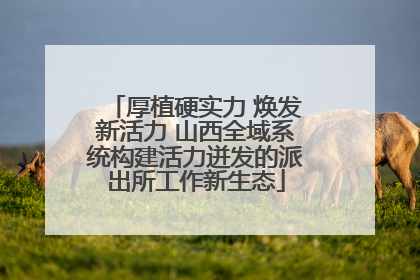 厚植硬实力 焕发新活力 山西全域系统构建活力迸发的派出所工作新生态