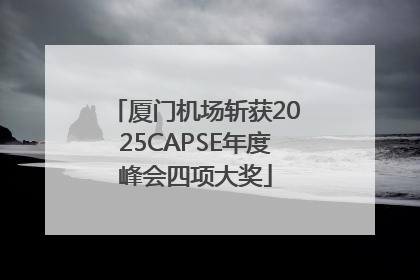 厦门机场斩获2025CAPSE年度峰会四项大奖