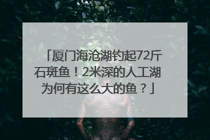 厦门海沧湖钓起72斤石斑鱼！2米深的人工湖为何有这么大的鱼？