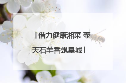 借力健康湘菜 壶天石羊香飘星城
