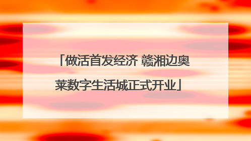做活首发经济 赣湘边奥莱数字生活城正式开业
