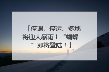 停课、停运、多地将迎大暴雨！“蝴蝶”即将登陆！