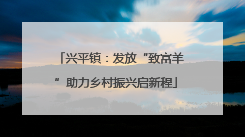 兴平镇：发放“致富羊”助力乡村振兴启新程
