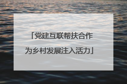 党建互联帮扶合作 为乡村发展注入活力