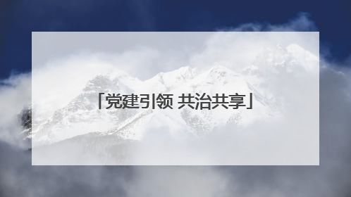 党建引领 共治共享