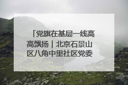 党旗在基层一线高高飘扬｜北京石景山区八角中里社区党委：用脚步丈量民生