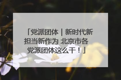 党派团体｜新时代新担当新作为 北京市各党派团体这么干！
