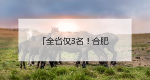 全省仅3名！合肥经开区两学子入选中国国少训练营